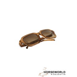 HST Harvest Sunglass - Brown 