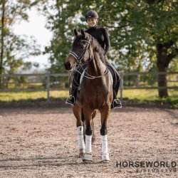 Sprenger Novo Contact Sensogan Stangbid 7cm Stnger - 14mm