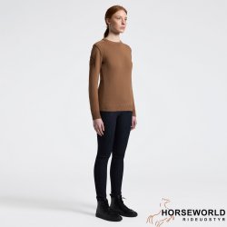 CT Pure Wool Crew Neck Sweater - Camel