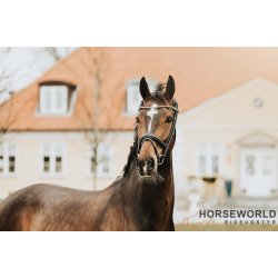 Finesse Bridles Trense - Sort/Sort/Slv