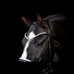 SD Design L nique Pandebnd m. Sten - Sort/Slv