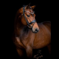 SD Design Rapsody Rundsyet Trense - Sort/Sort