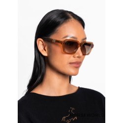 HST Harvest Sunglass - Brown 