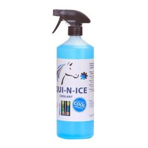 Coolant Klevske - 1L