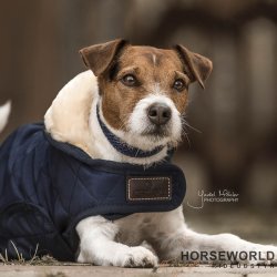 Kentucky Dog Rug Hundedkken - Navy