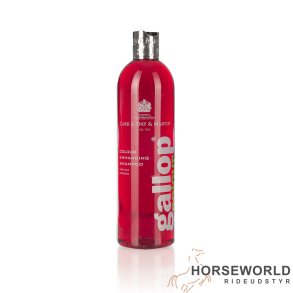 Gallop Colour Shampoo - Bay 500 ml.