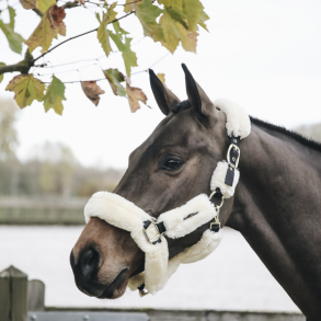 Kentucky Grime med Lam - Natur