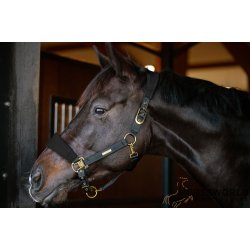 Catago Fir-Tech Grand Grime - Sort