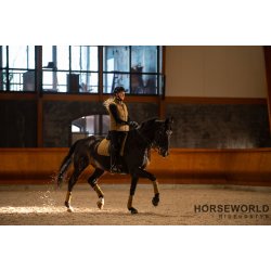 Catago Fir-Tech Grand Dressur Underlag - Kangaroo