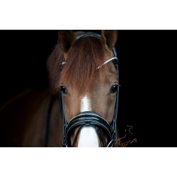 Catago Nival 24.2 Rundsyet Trense - Sort