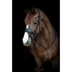 Catago Nival 24.2 Rundsyet Trense - Sort