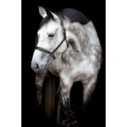 Catago Novi 24.2 Ldergrime - Sort