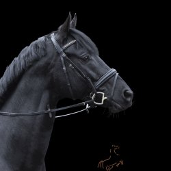 Sprenger WH Ultra Dynamic RS D-Ring 3-delt Bid 70 - 16mm