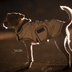 Kentucky Dog Coat Refleks &amp; Vandafvisende - Silver