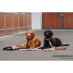 Eskadron Platinum Hundehalsbnd &amp; Snor Faux Leather - Sort