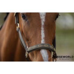 Eskadron Heritage Sparkle Grime - Deep Moss 