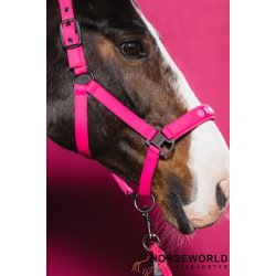 Eskadron Dynamic Softshell Grime - Lipstick 
