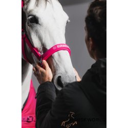 Eskadron Dynamic Softshell Grime - Lipstick 