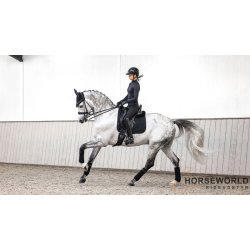 LeMieux Crystal Suede Dressur Underlag - Sort