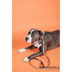 Kentucky Plaited Nylon Hundehalsbnd - Beige