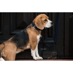 Kentucky Hundesnor Plaited Nylon 120 cm - Navy