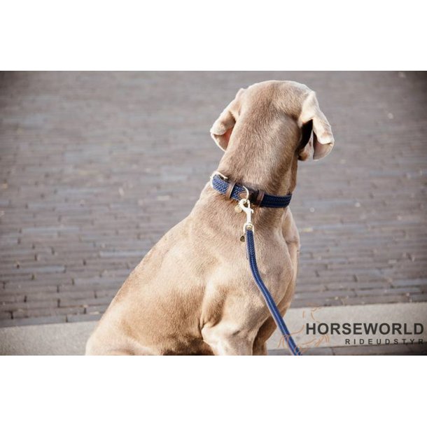 Kentucky Hundesnor Plaited Nylon 120 cm - Navy