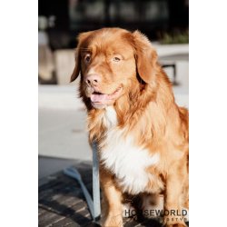 Kentucky Hundesnor Velvet 120 cm - Light Blue	