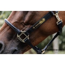 Kentucky Anatomic Lder Grime - Sort