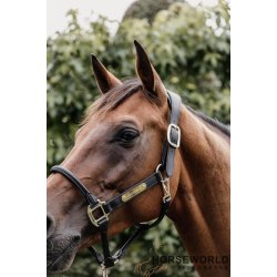 Kentucky Anatomic Lder Grime - Sort