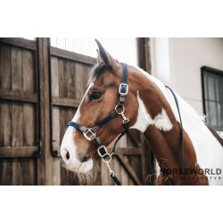 Kentucky Plaited Nylon Grime - Navy