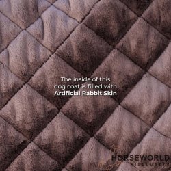 Kentucky Dog Coat Hundedkken Vandtt 160g - Coral