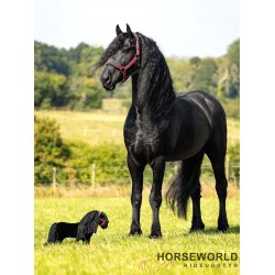 LeMieux Mini Toy Pony - Spike