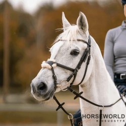 Sprenger KK Aurigan Bid 70 - 18mm