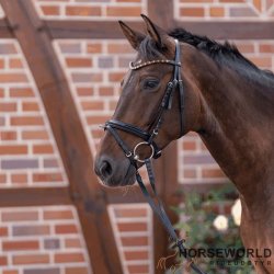 Sprenger KK Ultra Dynamic RS Sensogan 3-delt Bid 70 - 14mm	