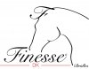 Finesse Bridles